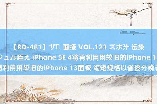【RD-481】ザ・面接 VOL.123 ズボ汁 伝染 逆面接 上品なおクチでジュル咥え iPhone SE 4将再利用用较旧的iPhone 13面板 缩短规格以省俭分娩老本