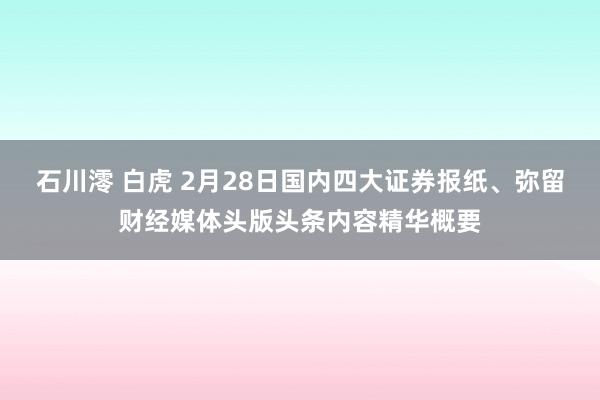 石川澪 白虎 2月28日国内四大证券报纸、弥留财经媒体头版头条内容精华概要
