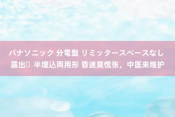 パナソニック 分電盤 リミッタースペースなし 露出・半埋込両用形 昏迷莫慌张，中医来维护
