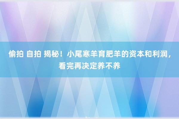 偷拍 自拍 揭秘！小尾寒羊育肥羊的资本和利润，看完再决定养不养
