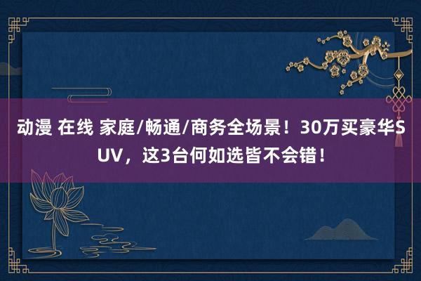 动漫 在线 家庭/畅通/商务全场景！30万买豪华SUV，这3台何如选皆不会错！