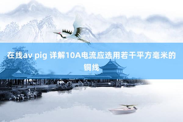 在线av pig 详解10A电流应选用若干平方毫米的铜线