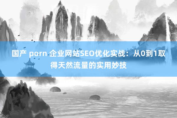国产 porn 企业网站SEO优化实战：从0到1取得天然流量的实用妙技