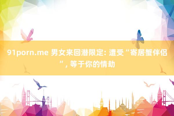 91porn.me 男女来回潜限定: 遭受“寄居蟹伴侣”， 等于你的情劫
