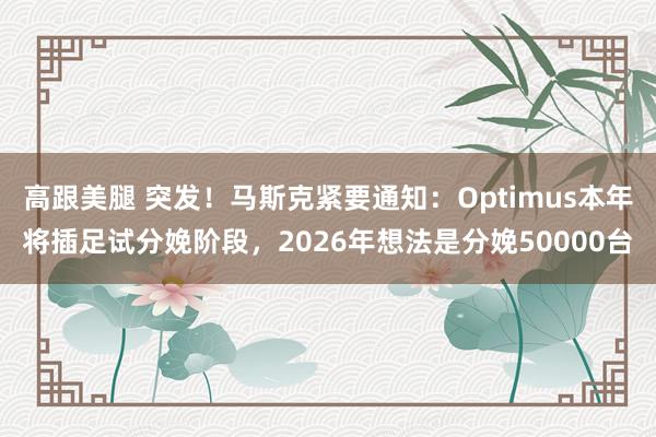 高跟美腿 突发！马斯克紧要通知：Optimus本年将插足试分娩阶段，2026年想法是分娩50000台
